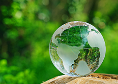 ～SDGｓ(持続可能な開発目標)対応！～ カーボンニュートラル入門(Web提出)